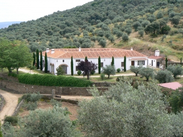 Lagar el Altozano - Holiday home villa in Trujillo, Extremadura