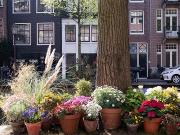 Villa 360 - Bed and Breakfast in Amsterdam, Amsterdam