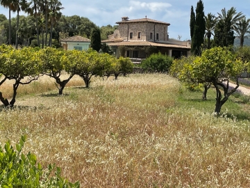 Finca El Nido - Holiday home villa in Pollença, Mallorca