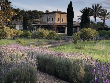Finca El Nido - Holiday home villa in Pollença, Mallorca