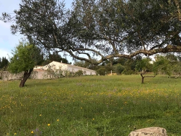 O Monte - Holiday home villa in São Brás de Alportel, Algarve