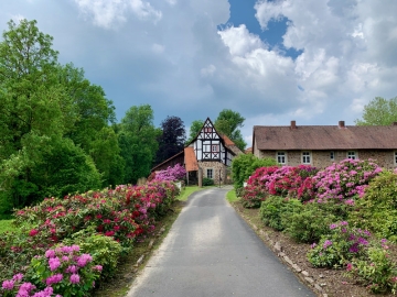 Rentei am Schloss - Holiday Apartment in Weissenbach, Bavaria