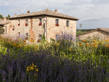 Argenina - Bed and Breakfast & self-catering in Gaiole in Chianti, Tuscany