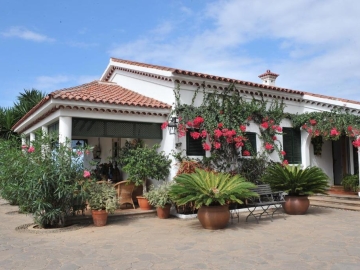 Malpaís Trece - Country House in Garachico, Canary Islands