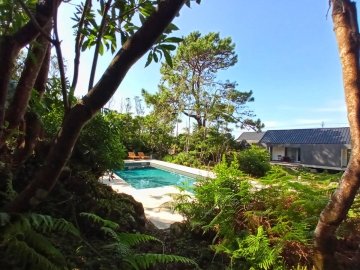 Casas do Morgadio - Holiday homes villas in Biscoitos, Azores