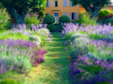 Le Pavillon de Galon - Manor House in Cucuron, French Riviera & Provence