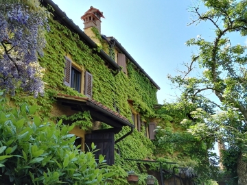 B & B Le Due Volpi - Bed and Breakfast & self-catering in Vicchio di Mugello, Tuscany