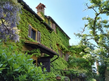 B & B Le Due Volpi - Bed and Breakfast & self-catering in Vicchio di Mugello, Tuscany