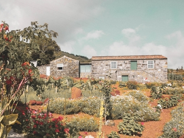 Adegas do Pico - Cottages in S. Roque do Pico, Azores