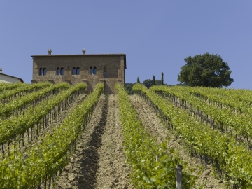 Locanda Palazzone - Boutique Hotel in Orvieto, Umbria