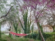 Mazaraki Guesthouse hotel boutique Laconia Mystras