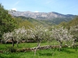 Hotel artemisa Corsica  Hotel con encanto