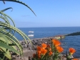 Faja dos Padres Madeira Hotel houses small