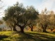 Castello de Petroia Umbria Hotel charming