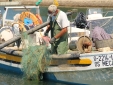 Fishing in Olhao