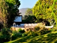 Open Air Cinema