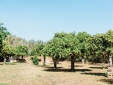 Can Sastre Agroturismo ibiza boutique design  hotel b&b