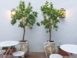 Garden Patio