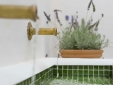 Casa Shelly Hospedería best boutique b&b hotel in Vejer de la Frontera