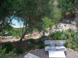Garden-and-swimming-pool
