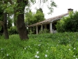 The Restaurant