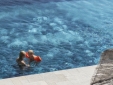 Wine by the pool