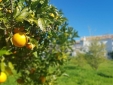Quinta dos Cochichos Secretplaces Best Villlas