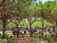 Praia Verde Boutique Hotel luxury design hotel in algarve near the beach