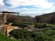 Tinos eco lodge 
