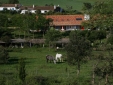 Herdade da Matinha Vila nova de Mil Vontes best boutique design small charming hotel 