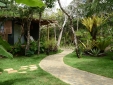 butterfly house cottage bungalow rustical nature