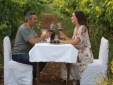 wineyard