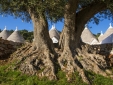 Hotel Borgo Canonico Puglia b&b design