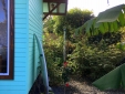 bananas lodge holiday stay azores
