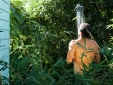 bananas lodge holiday stay azores