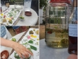 Homemade Ratafia
