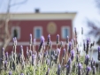 Tenuta Duca Marigliano Boutique Hotel