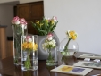 Tenuta Duca Marigliano Boutique Hotel