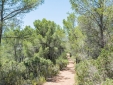 Es Cucons hotel boutique design Ibiza Sant agnes baleares b&b