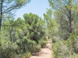 Es Cucons hotel ibiza