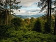 Stay at Linthwaite House Bowness-on-Windermere Cumbria and the Lake District fresh air forest trees