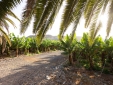 Stay at Villa El Mato Canary Island Tenerife Spain hotel lodging boutique best cheap luxury unique trendy cool small