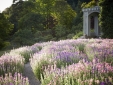 Hotel Endsleigh Milton Abbot boutique b&b