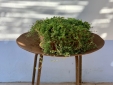 a bombom Comporta Carvalhal for rent beautiful melides hollidays self catering