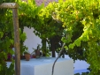 House Comporta Melids - Distance to Beach