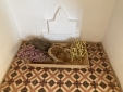 casa bombomvilla melides comporta carvalhal self catering