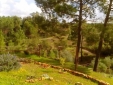 Quinta das Beldroegas