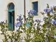 Borgo Aratico Entrance View