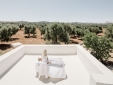 Yoga under the millenary olive trees