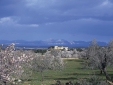 Sos Ferres d'en Morey Mallorca hotel B&B con encanto